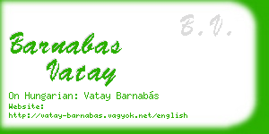 barnabas vatay business card